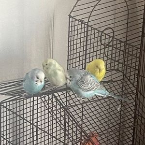 Meet your Posher, Emma